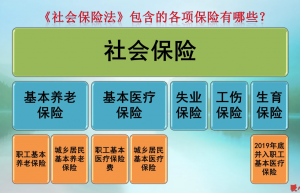 社保断了会怎么样（社会保险断缴的影响）