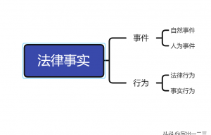 事实行为和法律行为（法律行为和事实行为通俗解释）