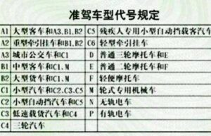 准驾车型不符怎样处罚新规（2022年准驾不符的处理办法）