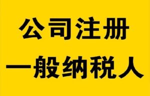 申请一般纳税人公司的条件有哪些（一般纳税人认定标准）