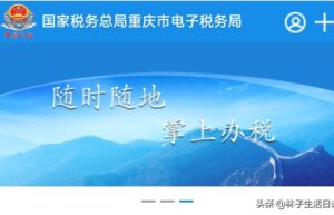 重庆税务登记网上办理流程（电子税务局用户注册与登录操作）