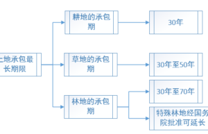 土地承包最长期限是多少年（个人土地承包最高年限规定）