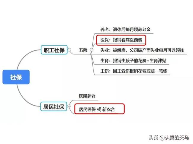 社保卡有什么用（社保卡的好处和用途）