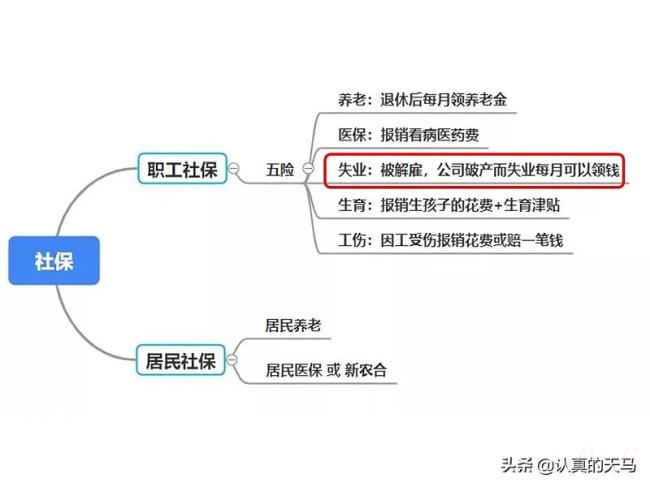 社保卡有什么用（社保卡的好处和用途）