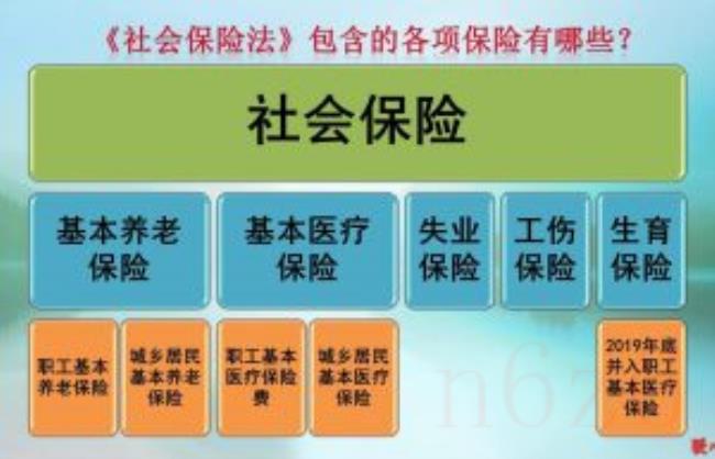 社保包括哪些保险（2022年个人社保缴费标准表）