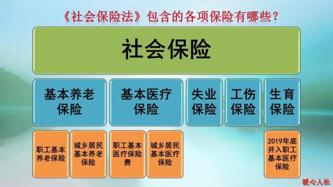 社保包括哪些保险（2022年个人社保缴费标准表）