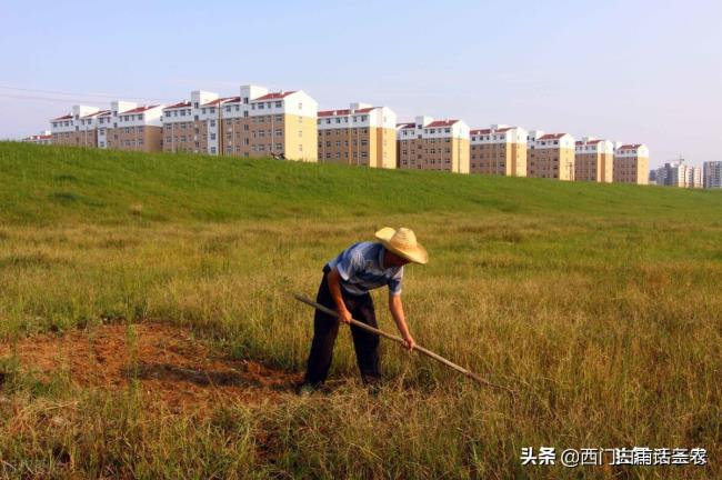 新土地法补偿（2022年土地征收赔偿标准明细）