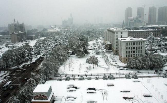 郑州大雪多个仓库倒塌（损失有多惨重？）