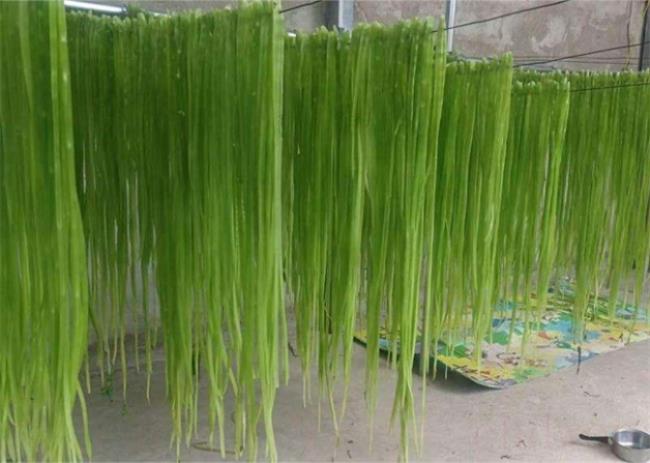 贡菜是什么菜（贡菜是什么）