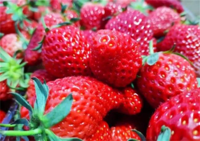 ​草莓应该怎么样正确清洗？