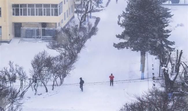 小学大雪中安排学生做操是否合理？