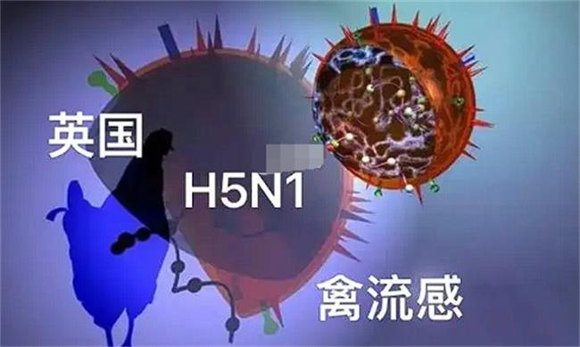 感染H5N1型禽流感病毒死亡会死亡吗