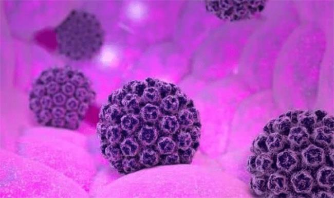 HPV病毒可导致哪些疾病呢？