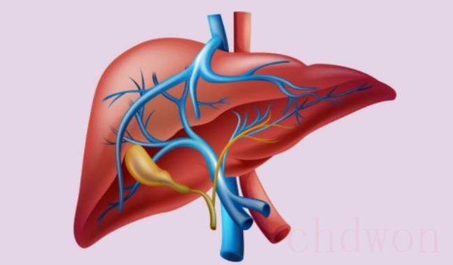 新冠肺炎导致的肝功能损害怎么办