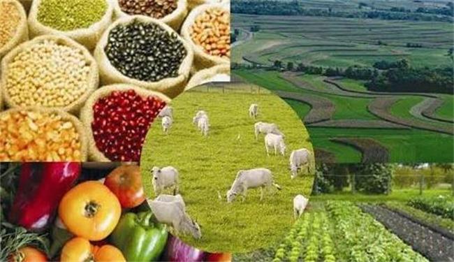 粮食和农业产品之间的区别是什么