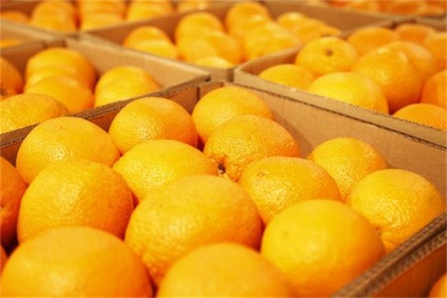 冬天新鲜橙子的保存方法