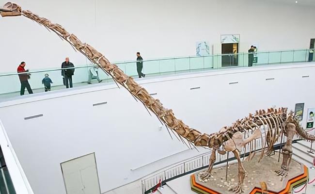 科学家在中国发现脖子最长恐龙（究竟有多长？ ）