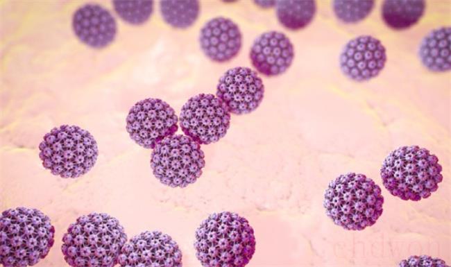 HPV病毒可导致哪些疾病呢？
