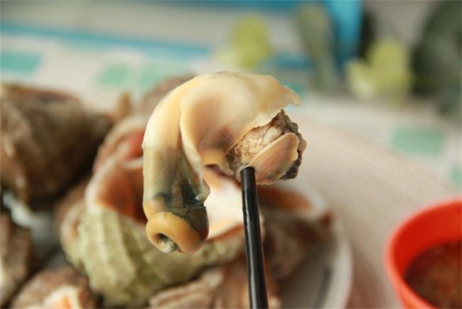 ​海螺怎么煮鲜嫩不老（煮好的海螺放到第二天还能吃吗）