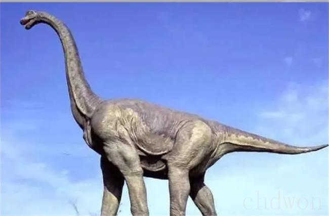​脖子最长的恐龙有哪些