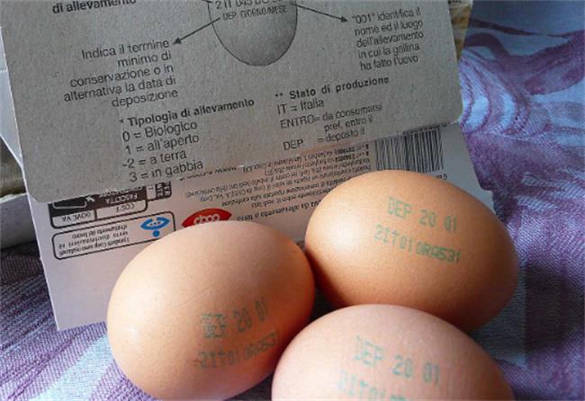 台湾的鸡蛋现在多少钱一斤