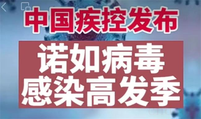 福建诺如发病率高　是否会引发新一轮感染高峰？