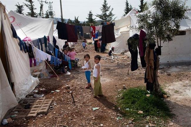 土耳其的难民都住在哪里