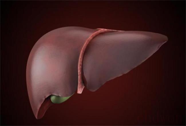 ​身体出现哪些异常说明肝脏有问题
