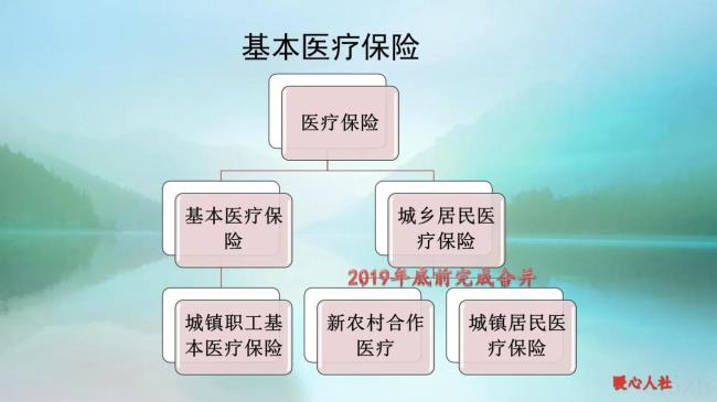 新农合报销比例是多少（2022年新农合报销新规定）