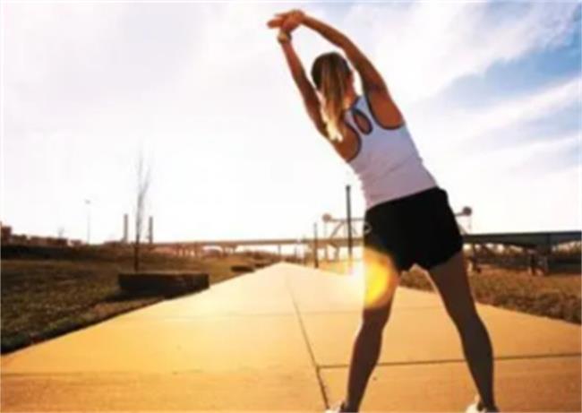 晨跑是每天跑还是隔一天跑比较健康