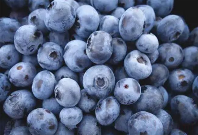 蓝莓表面的白霜是农药残留吗