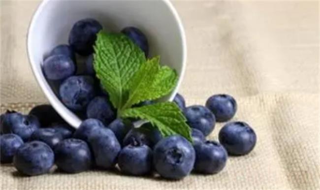 小孩吃蓝莓一天吃多少为宜