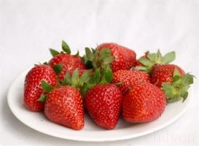草莓怎么保存才新鲜