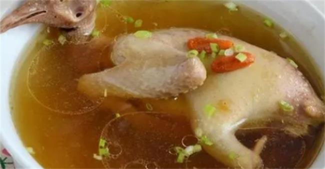炖鸽子汤用冷水还是热水下锅