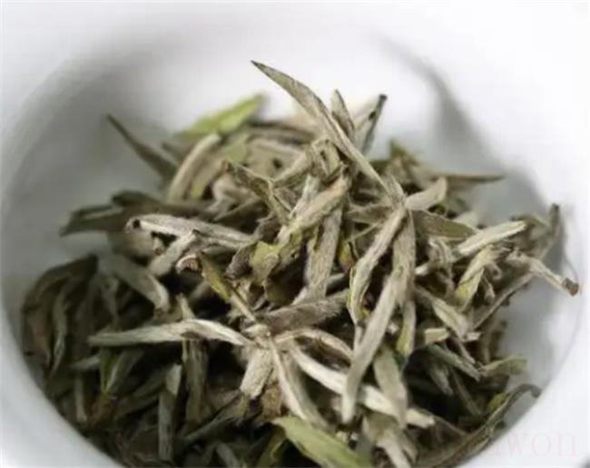 白毫银针属于绿茶吗
