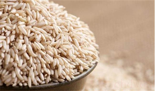 不吃米饭可以减肥吗