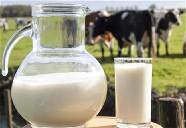牛初乳的功效与作用及副作用