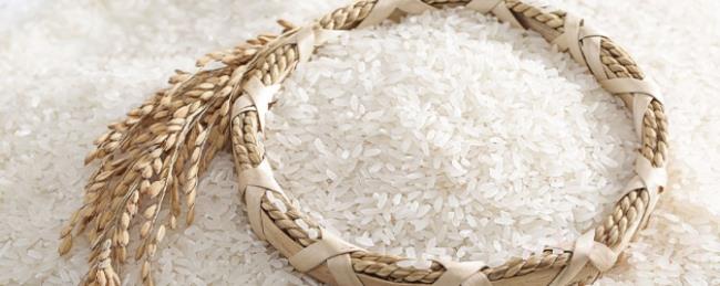 粳米和大米的区别有哪些