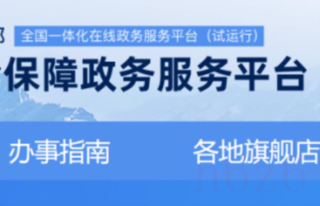 怎么查养老保险查询个人账户余额（个人养老保险缴费明细）