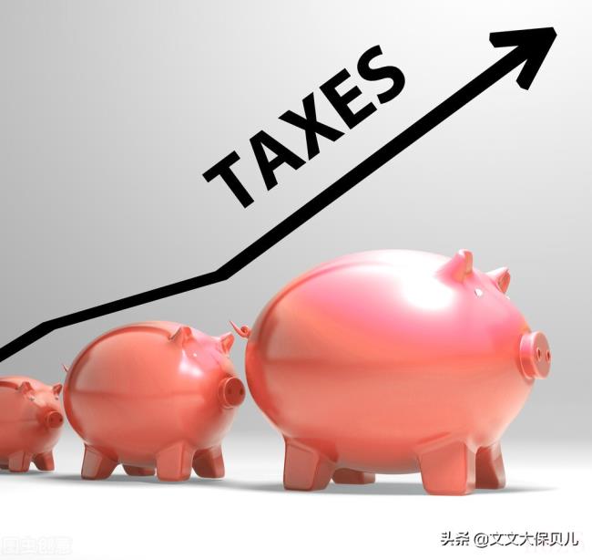 一般纳税人的税率是多少（小规模纳税人的税率）