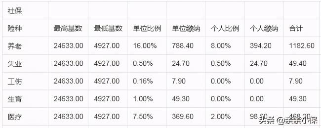 上海社保代缴一个月多少钱（上海社保个人缴纳标准）