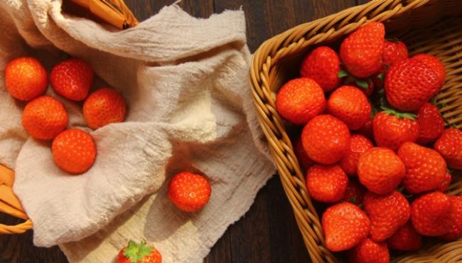奶莓和草莓的区别有哪些