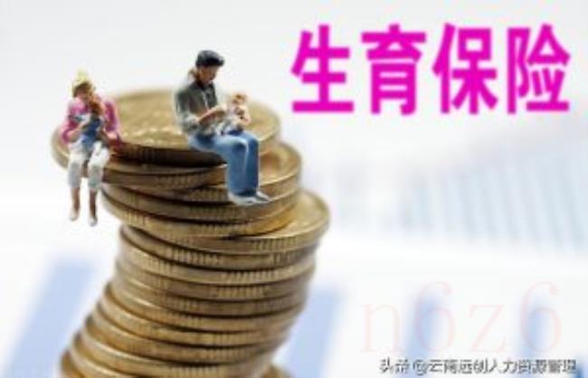 上海生育金计算公式怎么计算（2022上海生育津贴计算器）