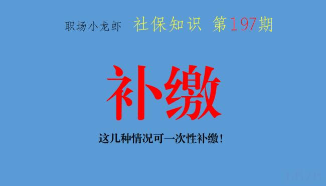 补缴养老保险新政策是什么（2022年养老保险最新补缴政策）