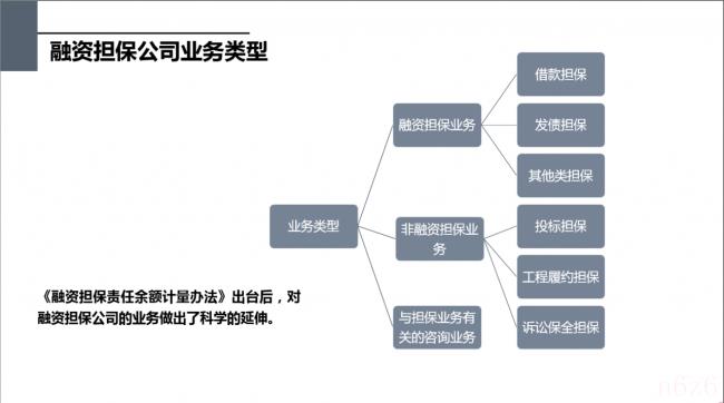 担保公司经营范围有哪些（担保公司营业执照经营范围）