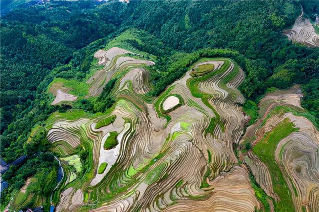 土地复垦标准是什么（土地复垦标准规范）