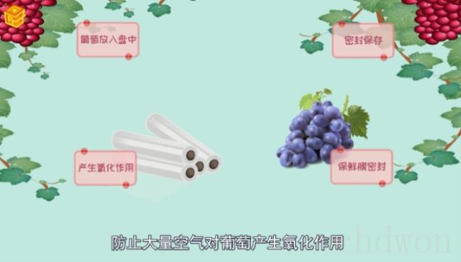 葡萄保存方法