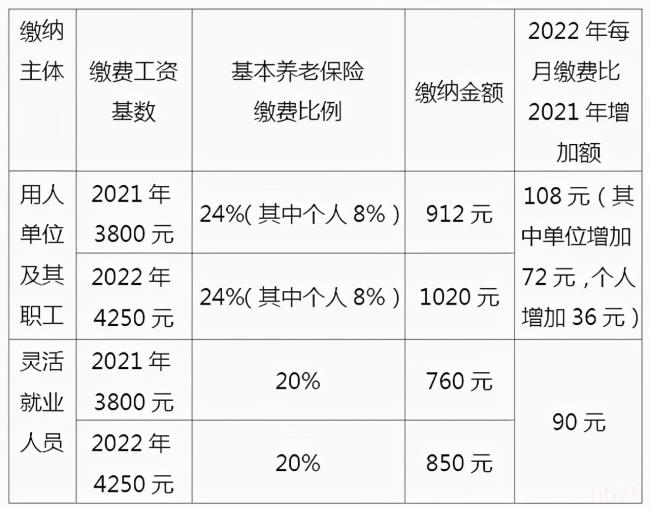 职工养老保险一年交多少钱（职工养老保险价格表）