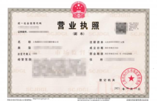 上海公司注册流程及费用标准（注册公司的基本流程及费用）