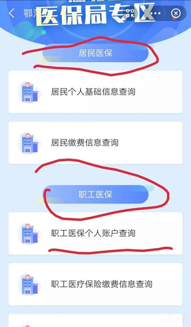 怎么查医疗保险（个人医保缴费查询）